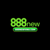 888NEW VINA profile image