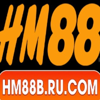 HM88 profile image
