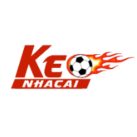 author - Blog-keonhacai