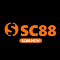 SC88 profile image