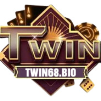 TWIN68 profile image