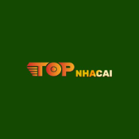 Topnhacaizacom profile image