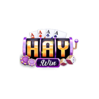 HAYWIN profile image