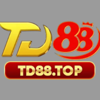 ctd88top profile image