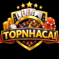 TOP NHÀ CÁI profile image