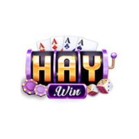 HAYWIN profile image