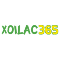 Xoilac moe profile image