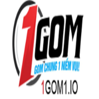 1Gom profile image