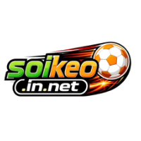 Soikeo in net profile image
