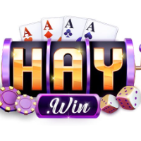 Haywin profile image