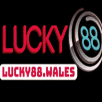 Nhà cái Lucky88 profile image