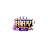 HAYWIN profile image