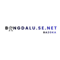 bongdalusenet profile image