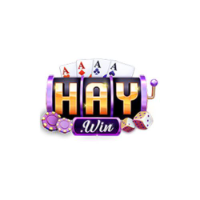 HAYWIN profile image