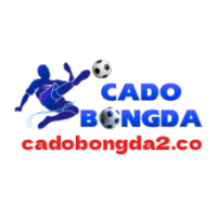 cadobongda2co profile image