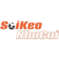 Soi Kèo Nhà Cái Nhận Định & Dự Đoán Tỷ Lệ Bóng Đá profile image