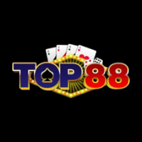 TOP88 LM profile image