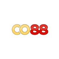 co8 8ws profile image