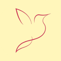 Parwaz profile image