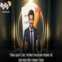 CEO Vũ Minh Long profile image