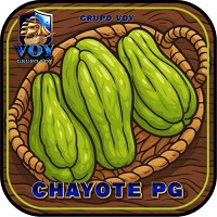 CHAYOTEPG profile image