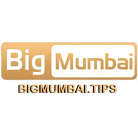 bigmumbaitips profile image