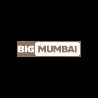 Big Mumbai Game profile image