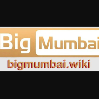 bigmumbai wiki profile image