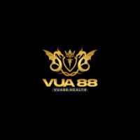 vua88health profile image