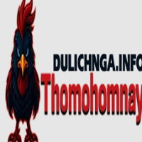 THOMOHOMNAY dulichnga profile image