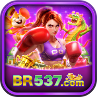 BR537 profile image