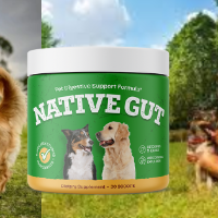 Laurie Paiva profile image