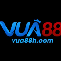 VUA88 HCOM profile image