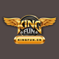KINGFUN CV FAINAD profile image