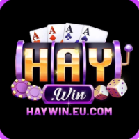 HAYWIN EU profile image