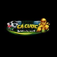 trang ca cuoc bong da hop phap profile image