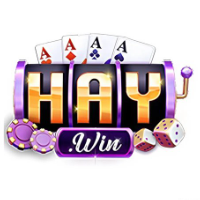 HAYWIN profile image