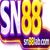 SN88 profile image