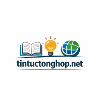 Tin tức tổng hợp profile image