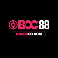 boc88co com profile image