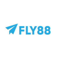 fly888io profile image