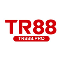 tr888pro profile image