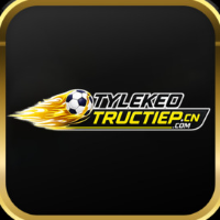 tylekeotructiepcncom profile image