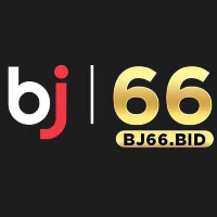 BJ66 profile image
