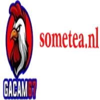 gacam67sometea profile image
