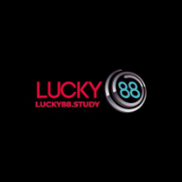 lucky88study profile image