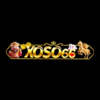 xoso66degree profile image