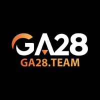 GA28 profile image