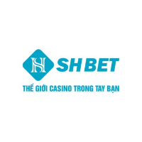 SHBET profile image