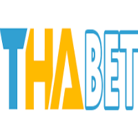 thabet 8 cn com profile image